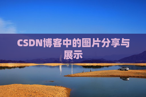 CSDN博客中的图片分享与展示